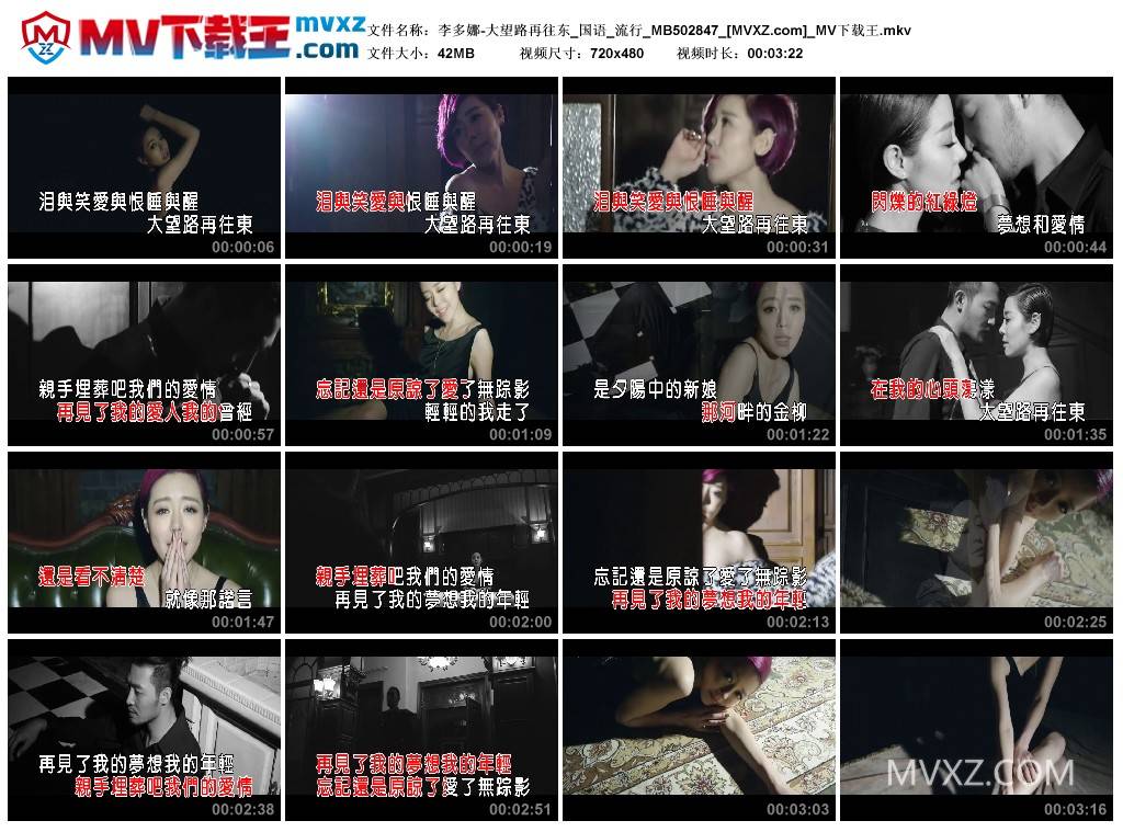 李多娜-大望路再往东_国语_流行_MB502847